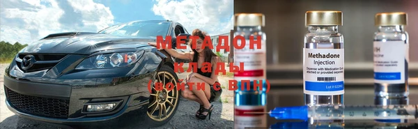 прущие грибы Алексеевка
