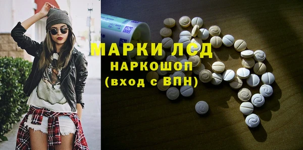 прущие грибы Алексеевка
