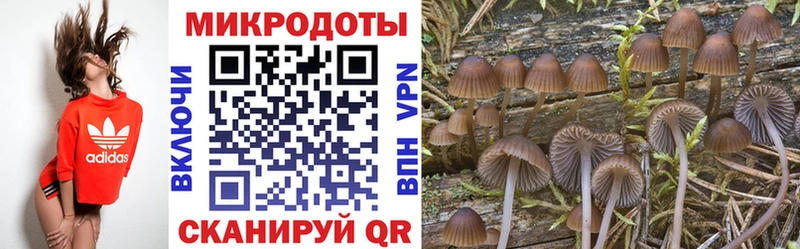 darknet клад  Шатура  Галлюциногенные грибы MAGIC MUSHROOMS 