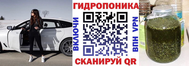 Канабис план Шатура